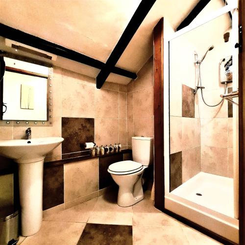 a bathroom with a toilet and a sink and a shower at Ta Mill Cottages & Lodges - Pump Cottage in Launceston