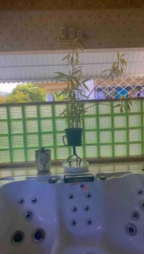 WindBreakVilla – Photos 3