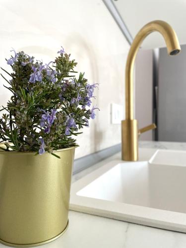 a bucket of purple flowers sitting on a kitchen sink at Apartment Vila ** in Stinica