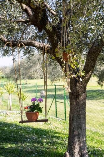 Zahrada ubytování Casa Vacanze Oleandri