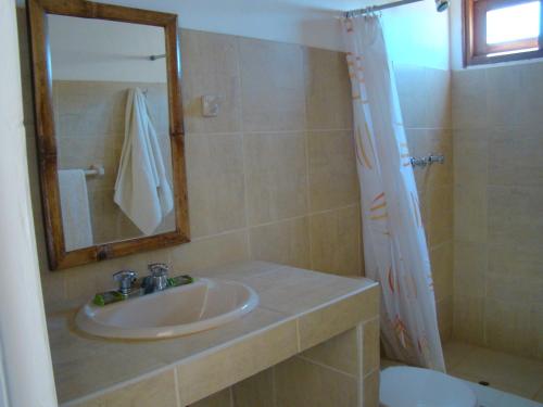 a bathroom with a sink and a shower with a mirror at El Gran Velero in Los Órganos