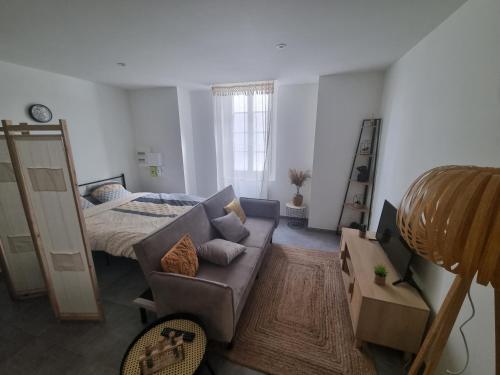 un salon avec un canapé et un lit dans l'établissement Logement chaleureux 2 personnes, à Saint-Gaudens