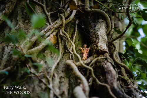 Φωτογραφία από το άλμπουμ του Enchanted Retreats at West Ford Devon σε South Molton