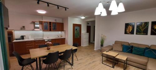 Kuchyňa alebo kuchynka v ubytovaní Apartament Piastowska