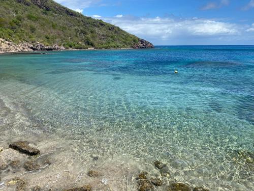 a beach with clear blue water and a mountain at Ti Kaz Marigot in Terre-de-Haut