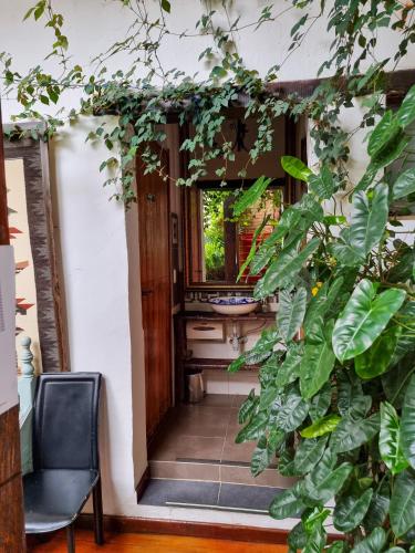 a hallway with a chair and a plant at Terraza De San Antonio in Cali