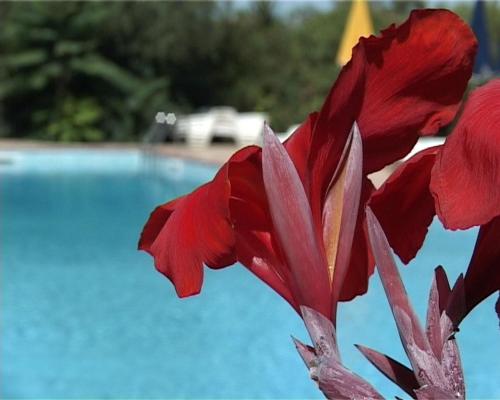Πισίνα στο ή κοντά στο Villa Tasca