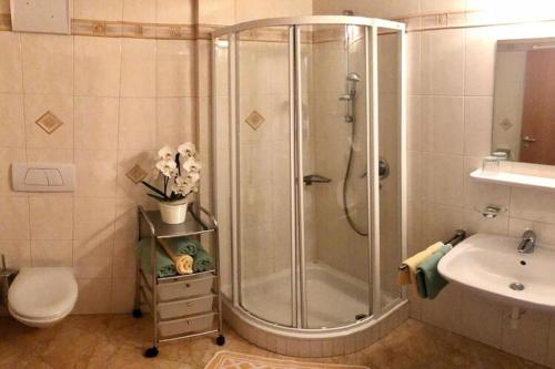 a bathroom with a shower and a toilet and a sink at Apartment in Goldrain with Pool & Mountain Views in Laces