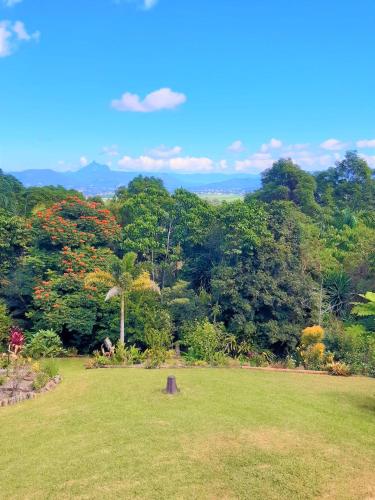 a green field with trees in the background at Farrants Hill - Tweed Coast Holidays in Clothiers Creek