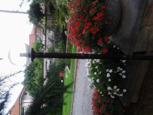 a street with flowers on the side of a building at B&B Casa Dolce Casa in Candelo