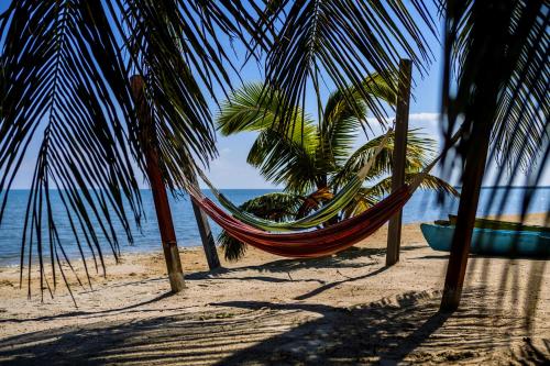 a hammock on a beach with palm trees and the ocean at Hopkins Bay Belize a Muy'Ono Resort in Hopkins