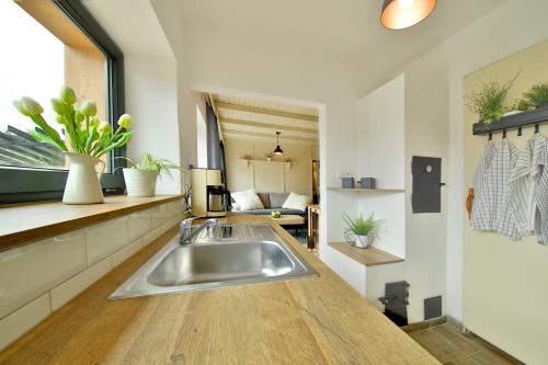 Kuchyň nebo kuchyňský kout v ubytování Apartmán Malá Skála
