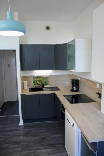 une cuisine avec des armoires noires et blanches et un évier dans l'établissement Roubaix Gare wifi métro musée calme confort 6 lits - Gite le Ferrum, à Roubaix