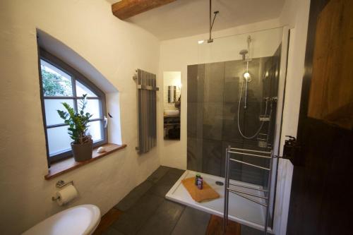 a bathroom with a shower and a sink at RenaissanceStuben in Torgau