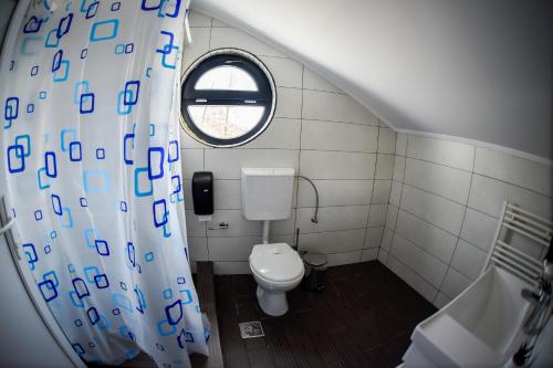 a small bathroom with a toilet and a window at Casa YDA in Horezu
