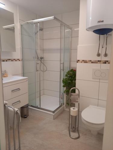 a bathroom with a shower and a toilet at Holiday Oasis Appartements in Villach