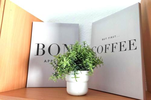 a potted plant sitting on a shelf in front of a book at Holiday Apartments Brachttal in Hellstein