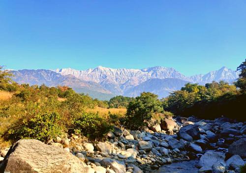 a river with rocks and mountains in the background at Dev Bhoomi Farms & Cottages in Dharamshala