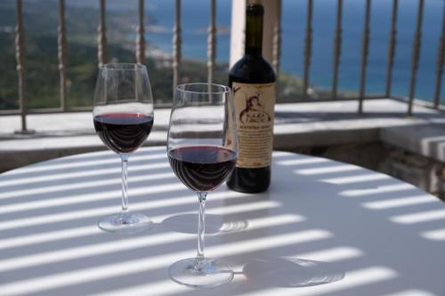 Billede fra billedgalleriet på PALMAR CLUB - Villa Aphrodite i Mirsíni