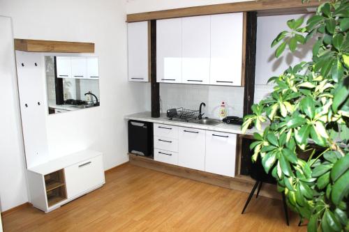 eine Küche mit weißen Schränken und einer Topfpflanze in der Unterkunft Krásny priestranný slnečný apartmán v centre mesta in Trenčín