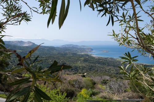 Billede fra billedgalleriet på PALMAR CLUB - Villa Aphrodite i Mirsíni