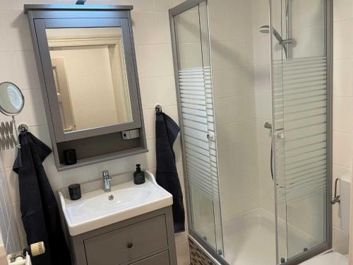 a bathroom with a sink and a glass shower at Ferienwohnung Hafensicht 25507 in Weener