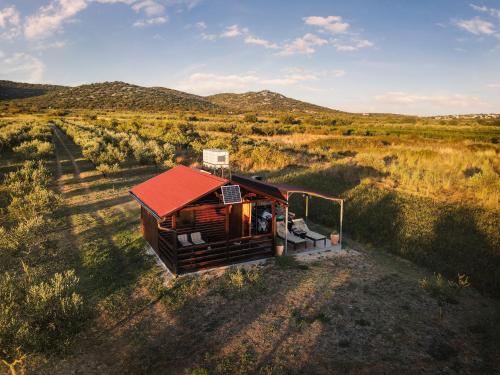 Robinson house Orkula in the heart of olive's yard