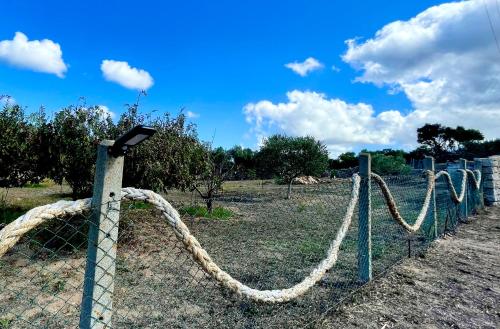 WindFlake Resort – Photos 5