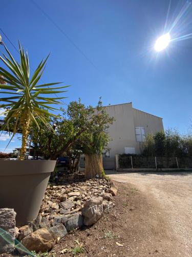 a plant in a pot next to a building at Studio proche de la plage de l'almanarre in Hyères
