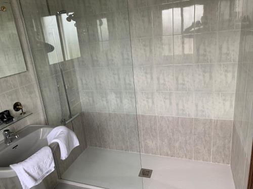 a bathroom with a shower and a sink at Hotel Los Olmos in Lugo