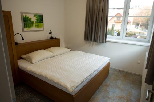 班斯卡－什佳夫尼察的住宿－Apartmány Kammergraf，卧室内的一张床位,带窗户