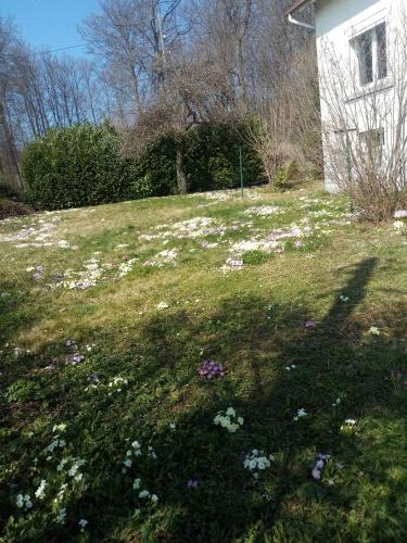 Κήπος έξω από το Maison chaleureuse Proche de Gerardmer