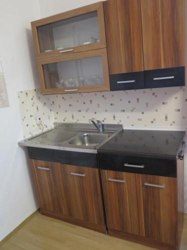 uma cozinha com um lavatório e armários de madeira em Apartman Hruba Skala em Hrubá Skála