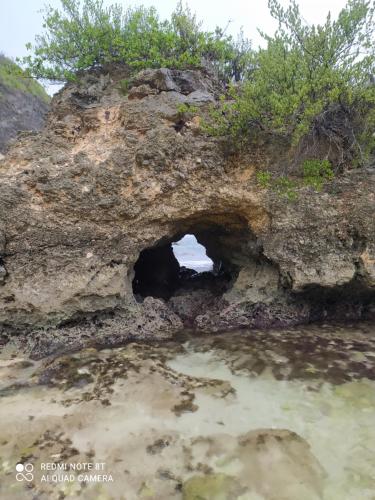 a cave in the rocks next to a body of water at Kaz a Klemence Gite creole avec piscine et table dhotes a Anse Bertrand in Anse-Bertrand