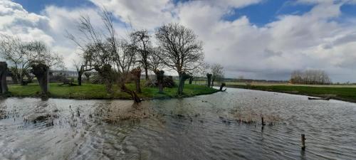 a body of water with trees in the middle at La vache au lit in Damme