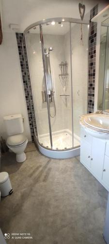 Gite 3 Frontières في Hagenthal-le-Bas: حمام مع دش ومرحاض ومغسلة