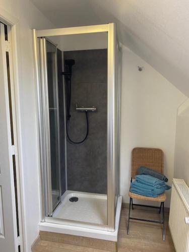 W łazience znajduje się prysznic ze szklanymi drzwiami. w obiekcie Logies Villa Maxim w mieście Koksijde