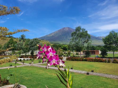 a pink flower in a park with mountains in the background at Nusantara Hotel Sembalun in Sembalun Lawang
