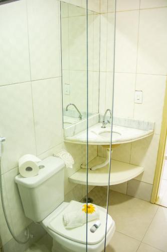 a bathroom with a toilet and a sink and a mirror at Pousada Polymar in Maragogi
