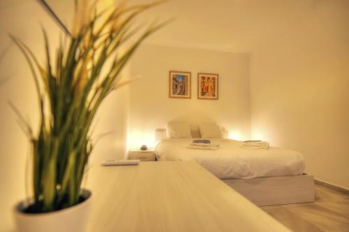 a bedroom with a bed and a potted plant at Bright and beautifully furnished apartment close to seafront BFRA1-2 in Il-Gżira
