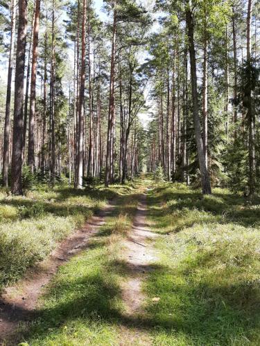 Fotografie z fotogalerie ubytování Osada Wejsuny v destinaci Ruciane-Nida