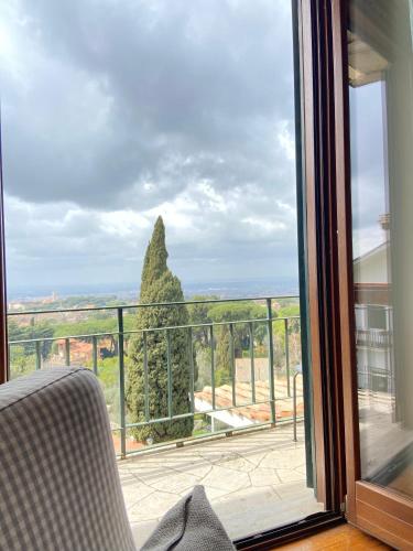 a window with a view of a tree at “Casa Amélie” in Grottaferrata