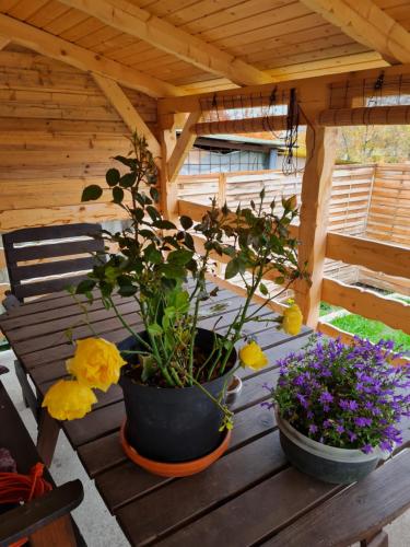 zwei Blumentöpfe auf einem Holztisch in der Unterkunft Kakasdombi Apartman in Balatonszabadi