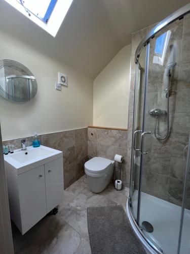 a bathroom with a toilet and a sink and a shower at The Beresford Arms in Morpeth
