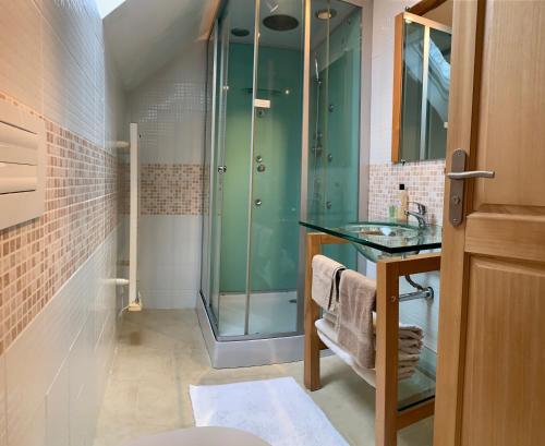 Juvigny-sous-AndaineにあるLe Glycine a Manoir Sainte Cecileのバスルーム(ガラス張りのシャワー、シンク付)