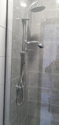a shower with a glass door in a bathroom at Apartament u krysi in Ząb