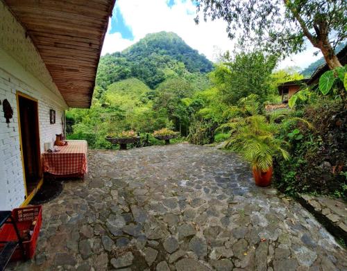 ホテルから撮影された、または一般的な山の景色