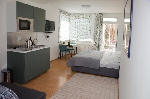 a bedroom with a bed and a sink and a kitchen at Apartmán u Doktora in Banská Bystrica