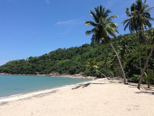 a beach with two palm trees and the ocean at Sea Breeze House, Naiplao Beach in Khanom