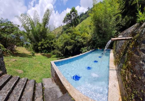 a swimming pool with a water fountain at Hospedaje Pance Arí Munani Reserva Natural in Cali